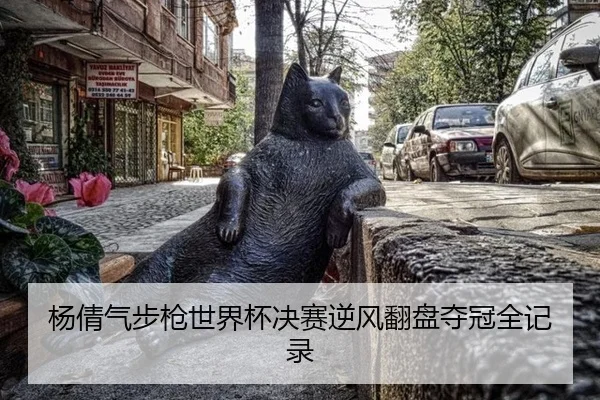 杨倩气步枪世界杯决赛逆风翻盘夺冠全记录